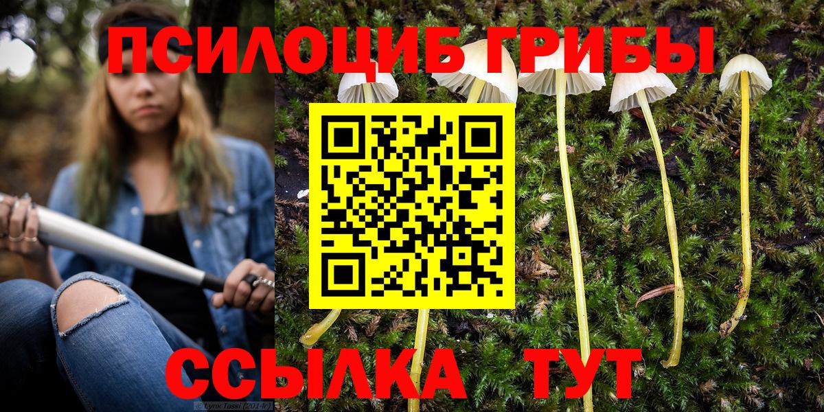 Вышний Волочёк  Галлюциногенные грибы Psilocybine cubensis  Вход с VPN 